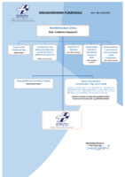 istituto santa maria del soccorso ORGANIGRAMMA FUNZIONALE